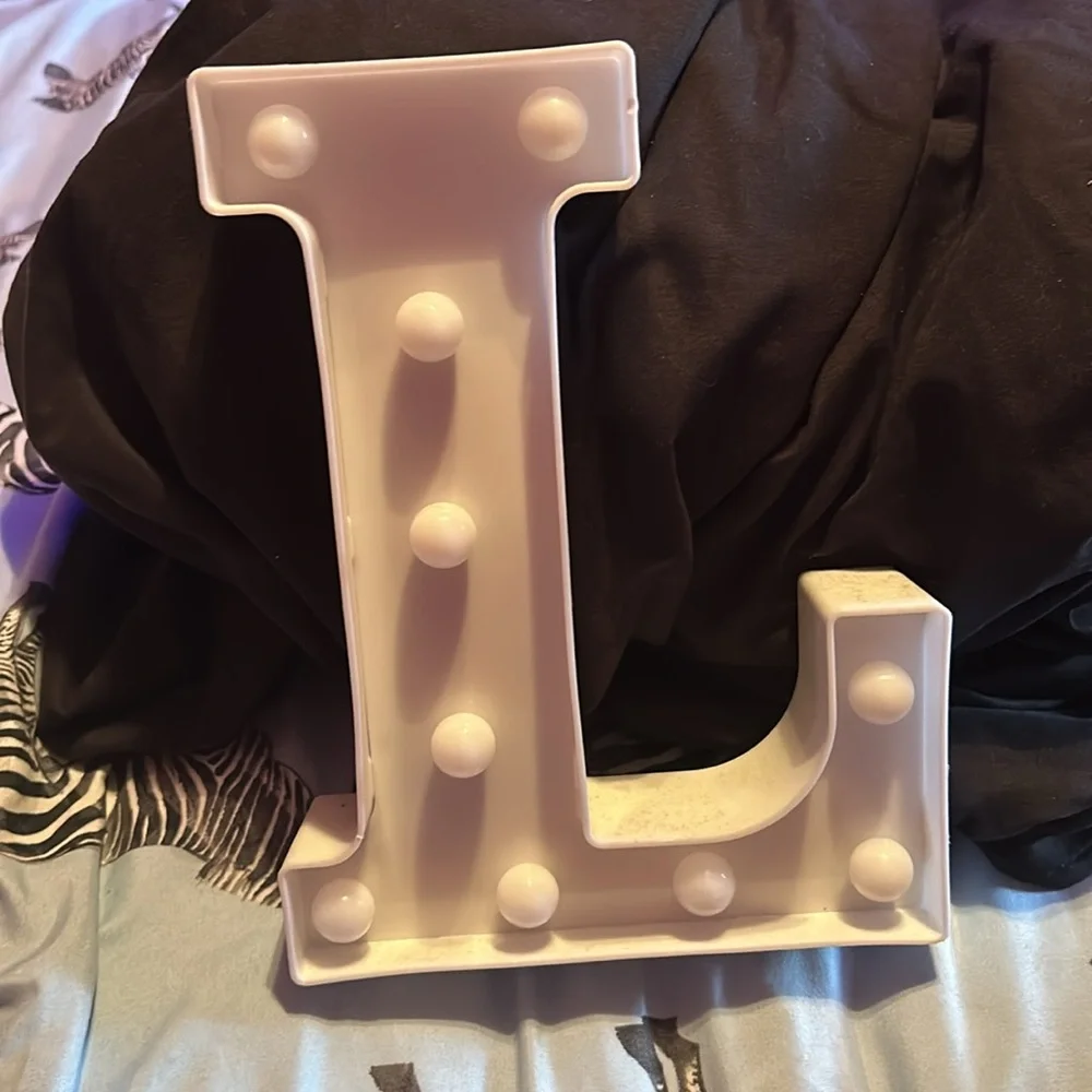 LED light L